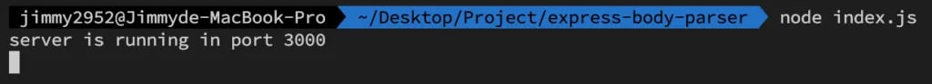 express bodyparser