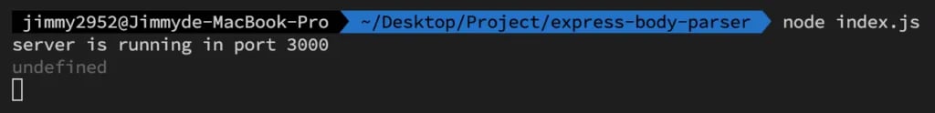 express bodyparser