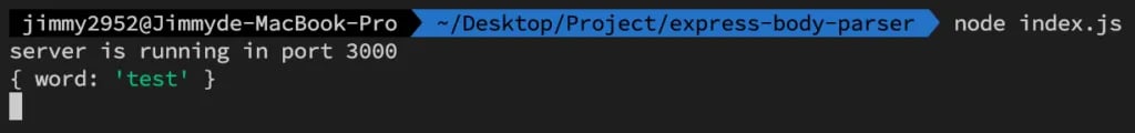 express bodyparser