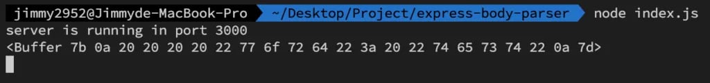 express bodyparser