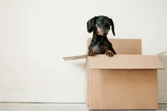 【WordPress外掛】如何點圖放大文章中的圖片？Easy FancyBox完整教學